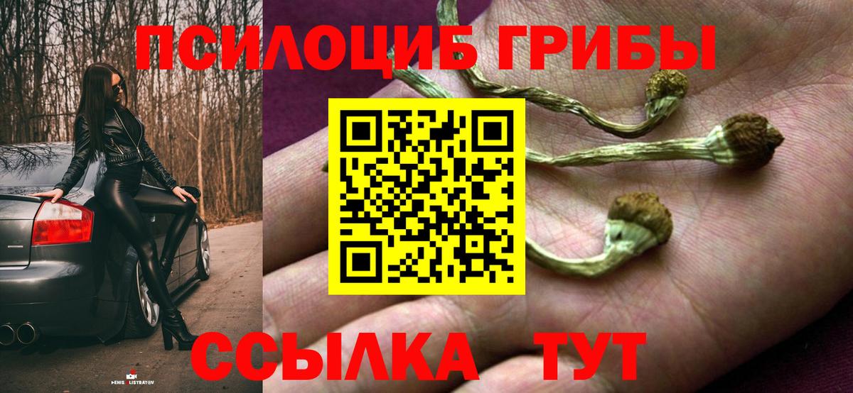 Галлюциногенные грибы MAGIC MUSHROOMS Среднеуральск